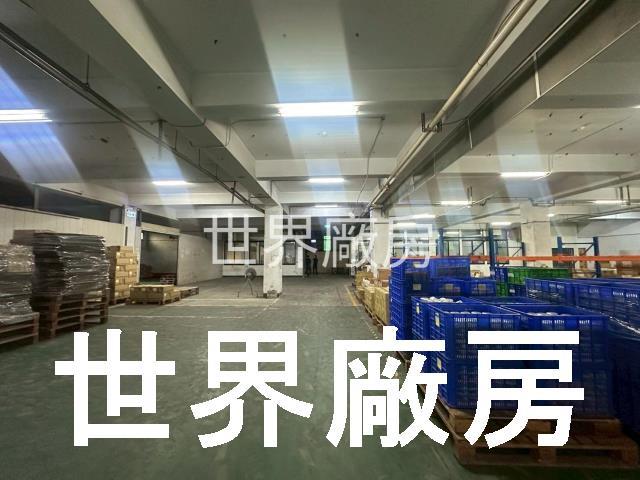 高雄大寮廠房-0