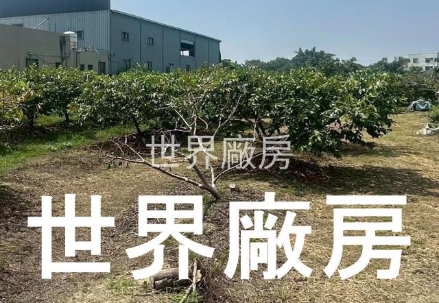 嘉義水上農地-0